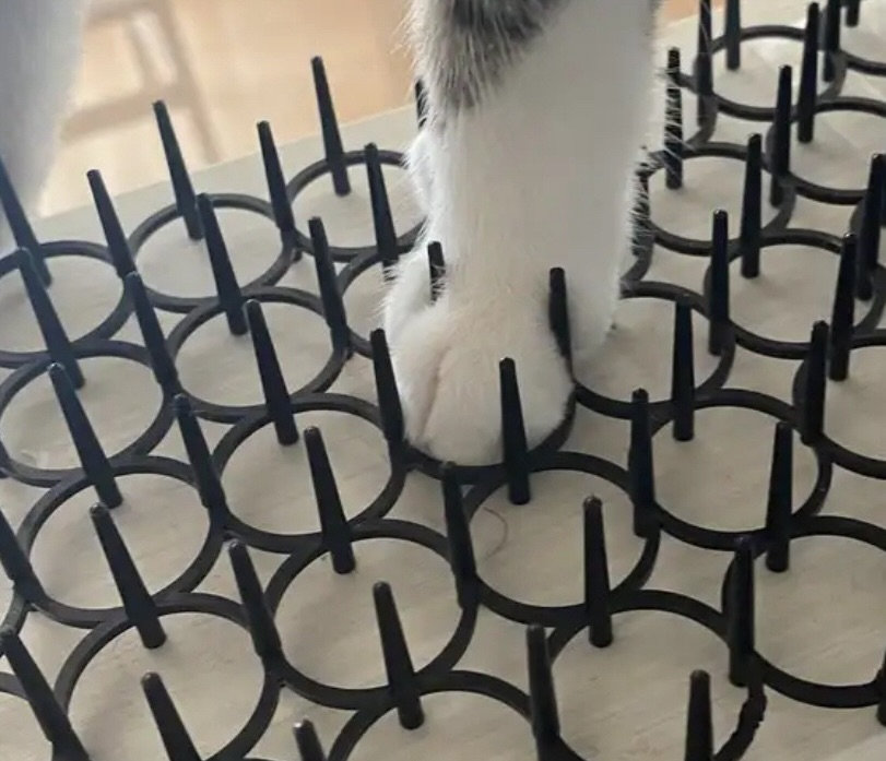 고양이 접근방지 패드 후기 | 인스티즈