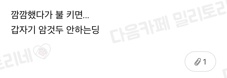 [냥귀염] 혹시 햄스터 갑자기 방 불키면 깜짝 놀래??? | 인스티즈