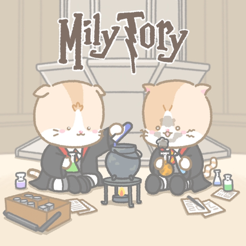 해리포터 팬들 사이에서 갈리는 유형 | 인스티즈