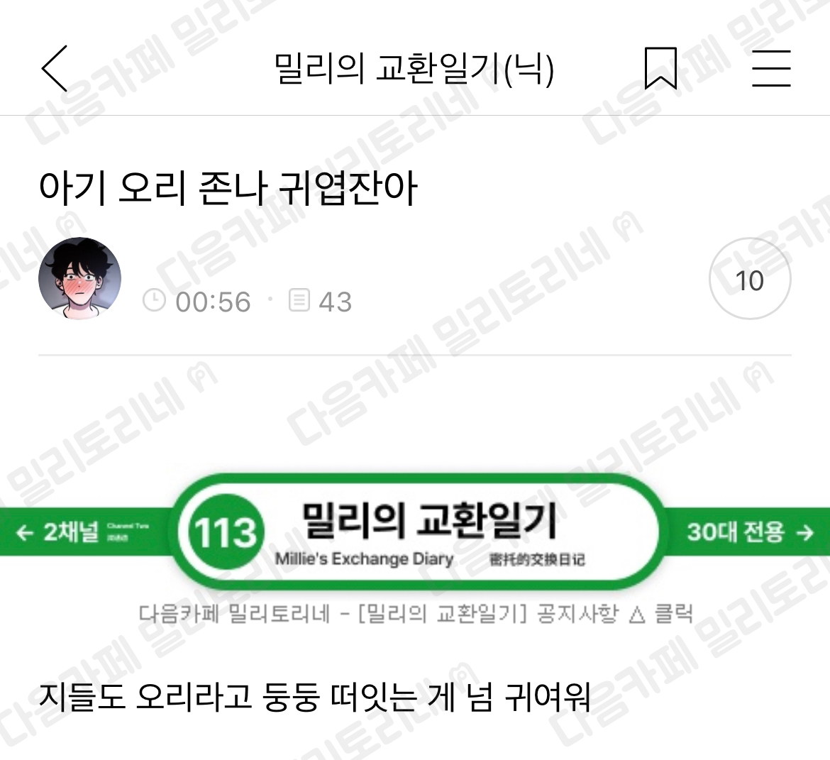 [냥귀염] 아기 오리 정말 귀엽잔아 | 인스티즈