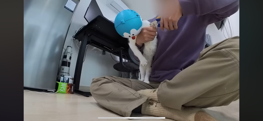 [hahaha] 도라에몽이 된 무(feat.무라에몽) | 인스티즈