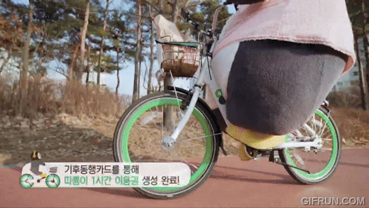 펭수 근황 | 인스티즈