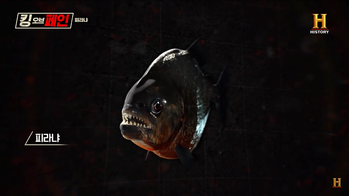 보는 사람들마다 제발 주작 좀 하라고 하는 프로그램 ㄷㄷ | 인스티즈