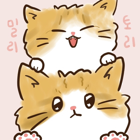 우리가 사랑했던 블랙 위도우와 스칼렛 위치의 관계성 | 인스티즈