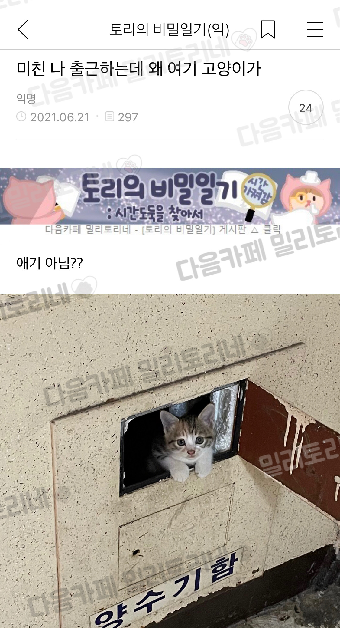 미친 나 출근하는데 왜 여기 고양이가 | 인스티즈