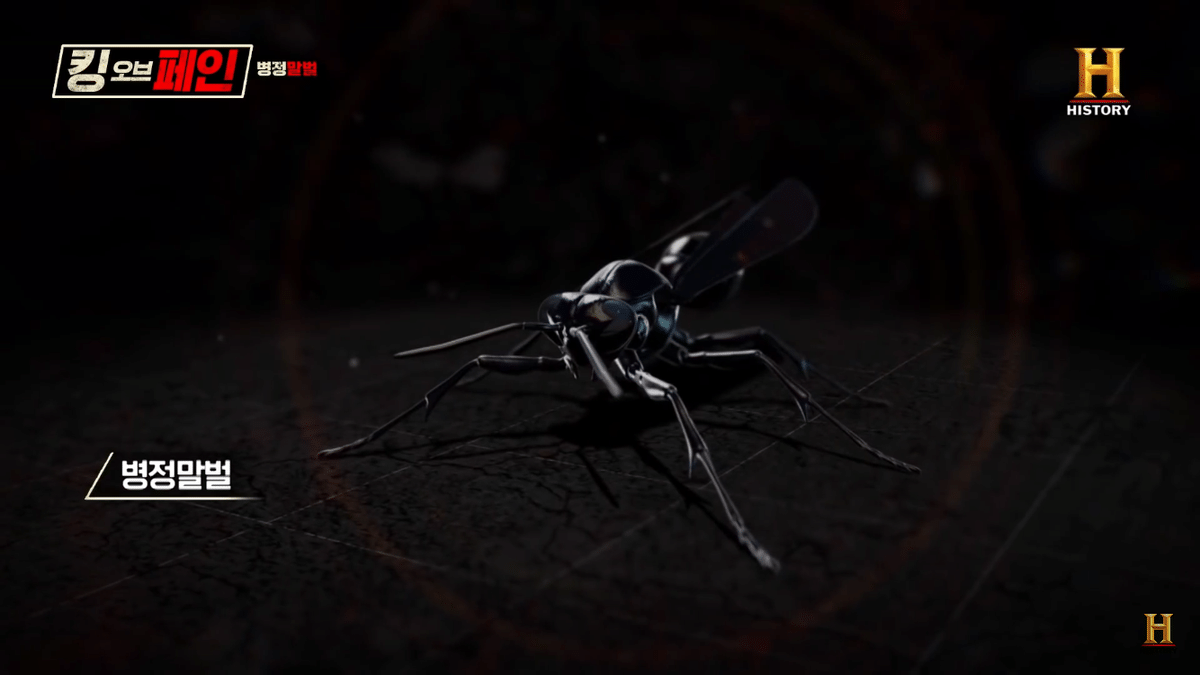 보는 사람들마다 제발 주작 좀 하라고 하는 프로그램 ㄷㄷ | 인스티즈