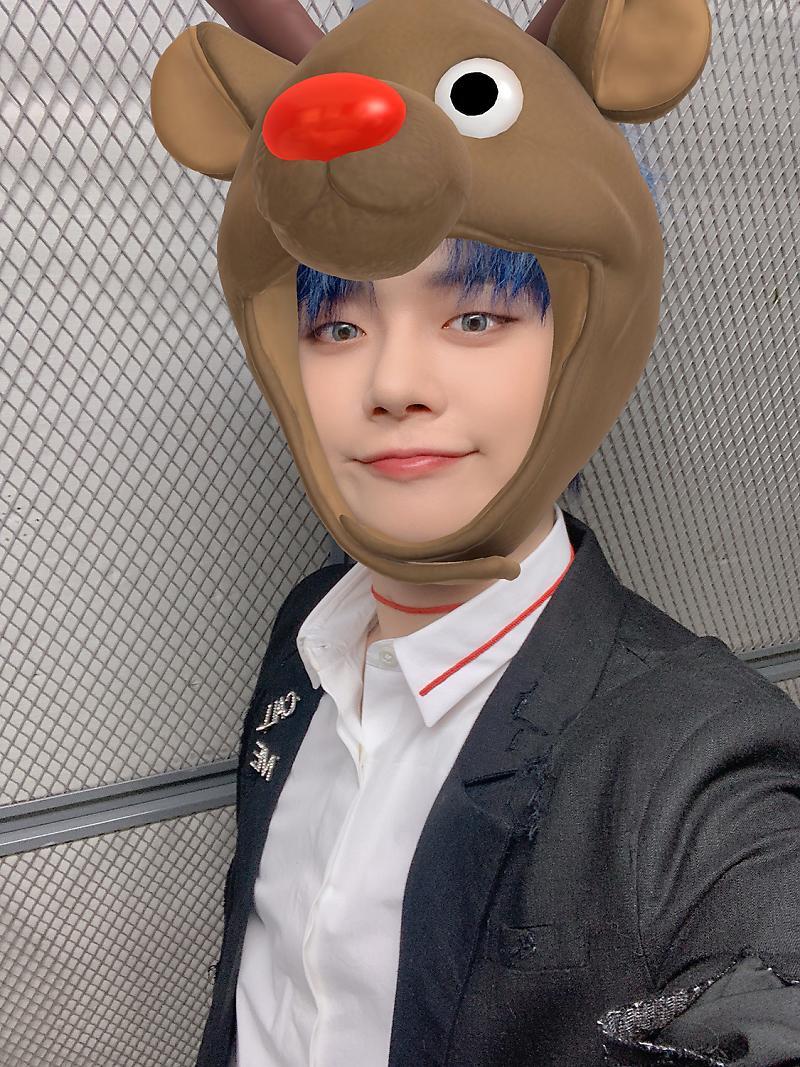 모아(MOA) 이미지