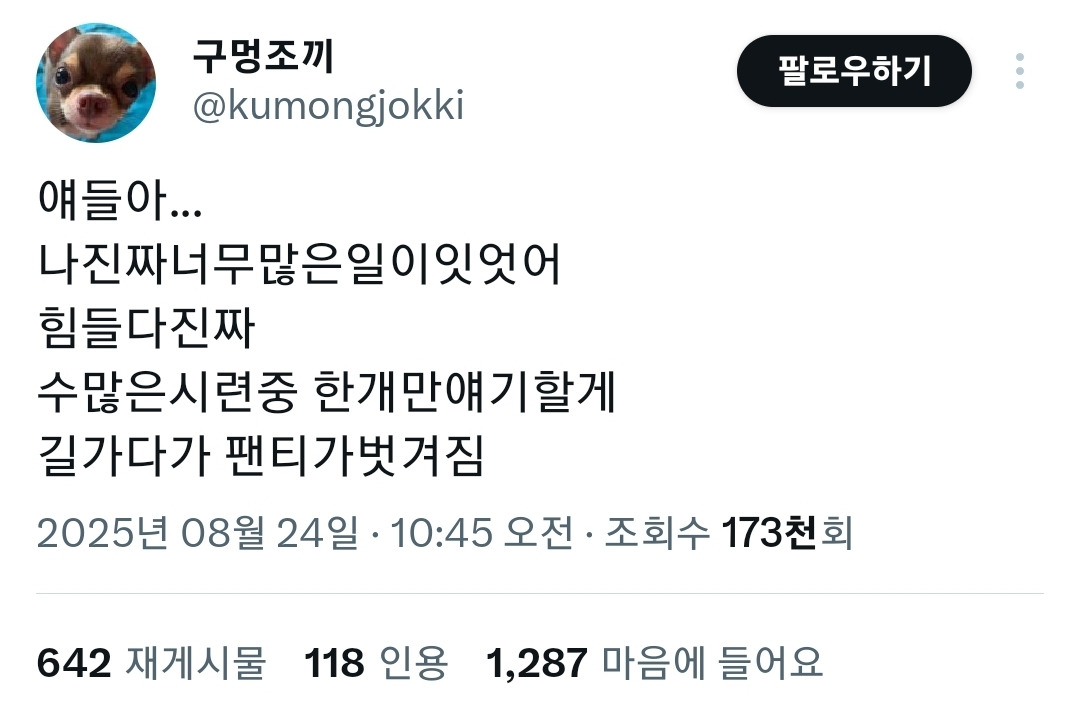 다이소에서 절대 사면 안되는 물건 1위 | 인스티즈