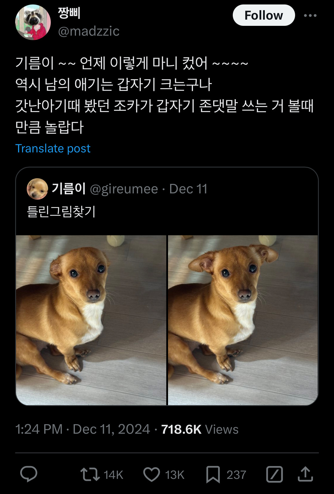담화문으로 여론 바뀌는듯?.twt | 인스티즈
