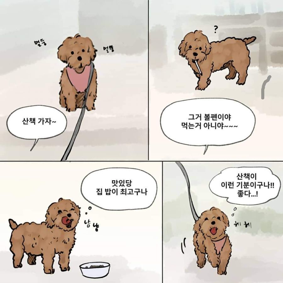 환생하려는 강아지 | 인스티즈