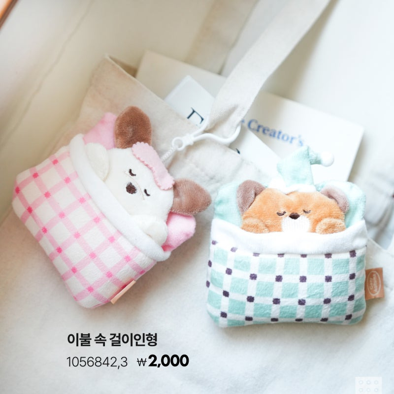 코지 이미지