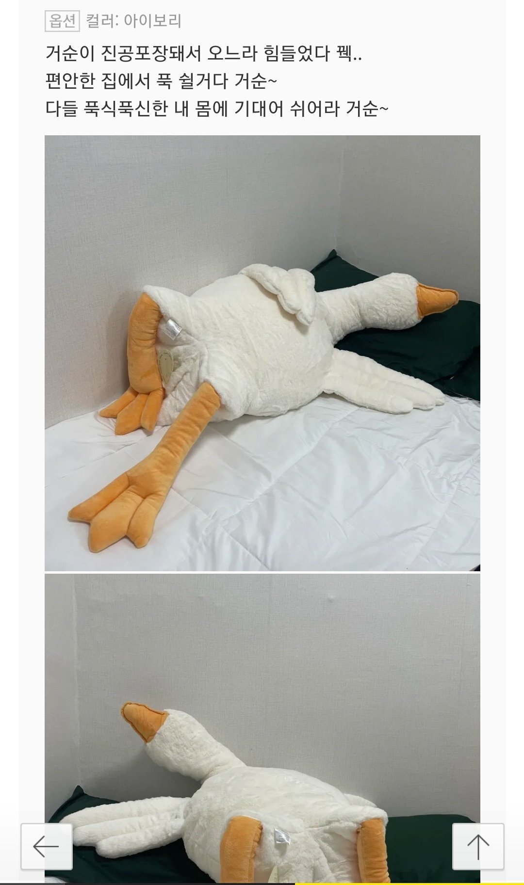 갤러리일상 이미지