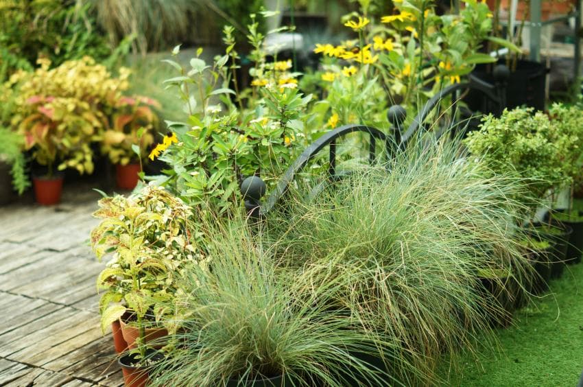 식물 가득한 옥상정원 🌿🍃 | 인스티즈