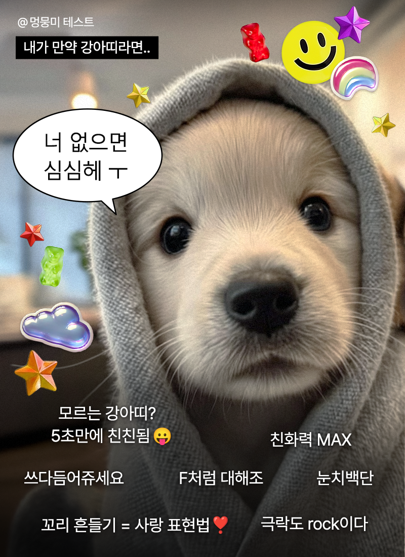 귀여움 과한 멍뭉미 테스트 | 인스티즈