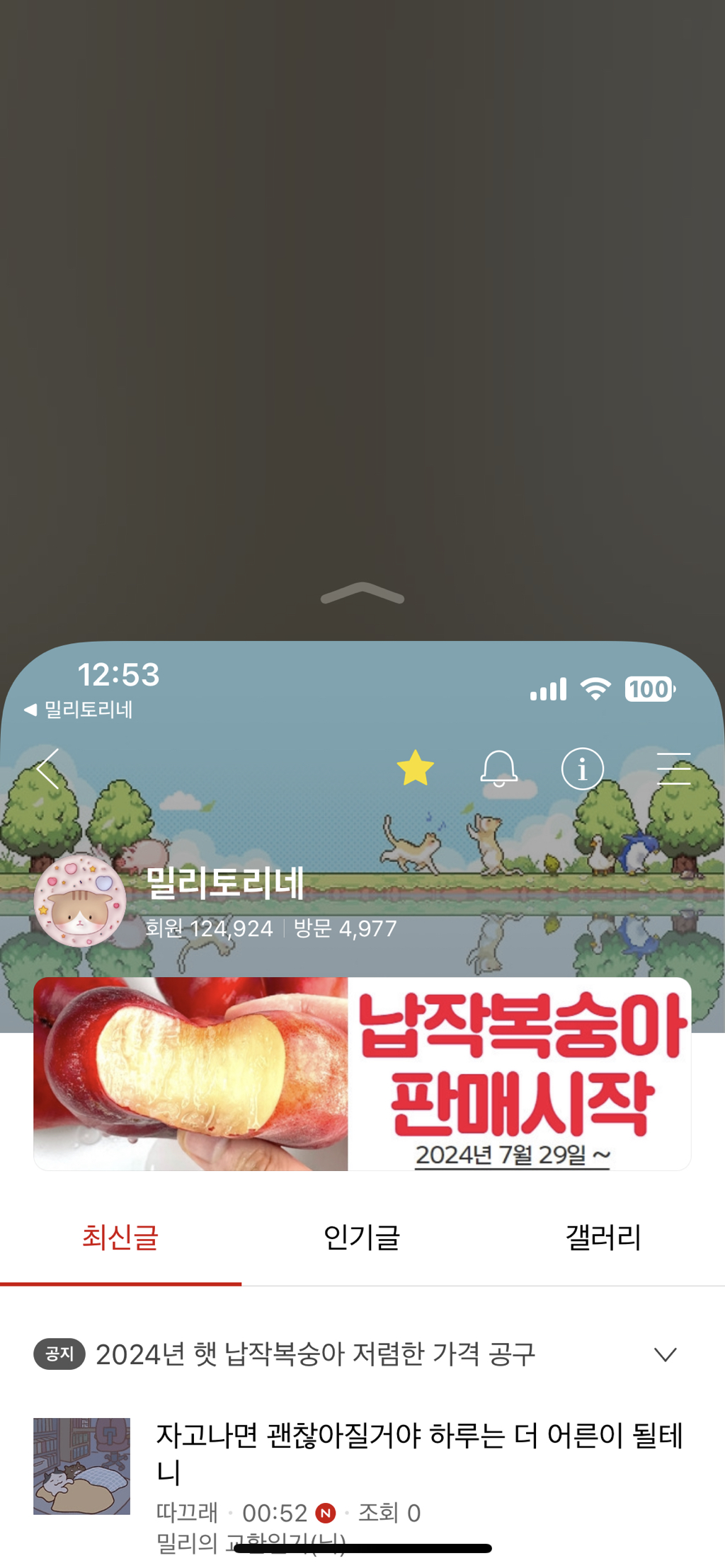 잇시 이미지