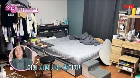 감탄집 이미지