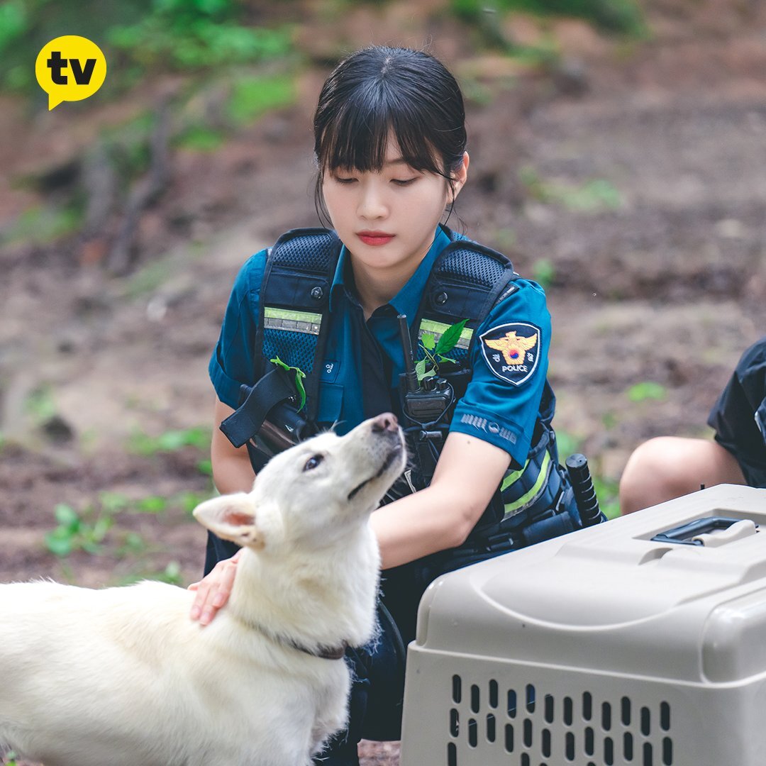 어바웃조이 이미지