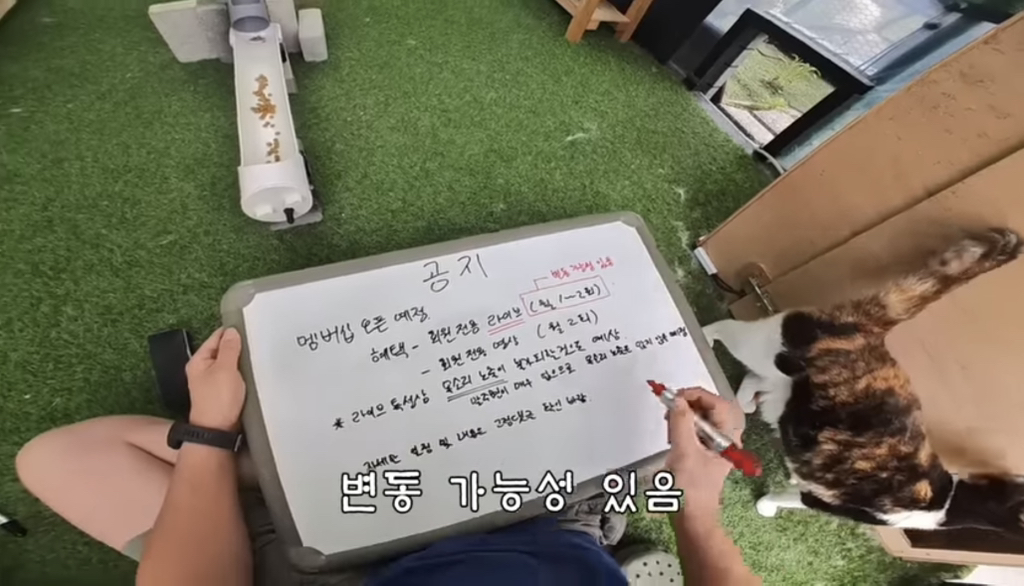 멤버십 오픈 예정이라는 유튜버 haha ha | 인스티즈