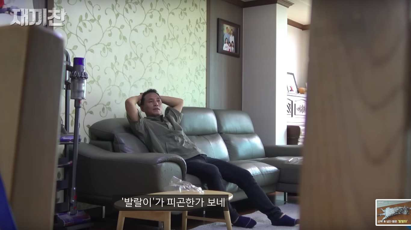 고양이 산책 시키는 강아지 훈련사 이찬종 선생님 | 인스티즈