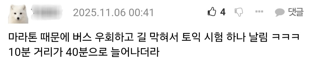 마라톤 사태 직접 겪은 사람들이 쓴 댓글.jpg | 인스티즈