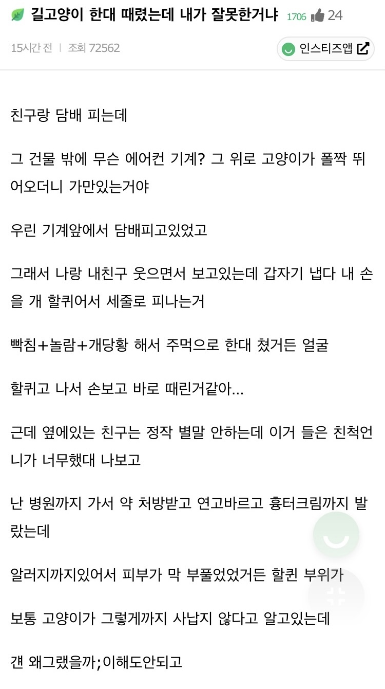 길고양이 한대 때렸는데 내가 잘못한거냐 | 인스티즈