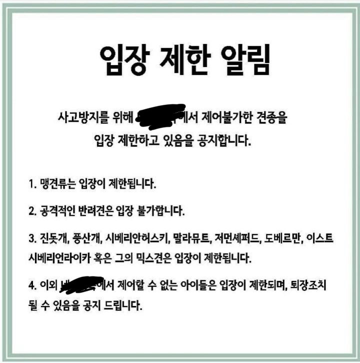 대부분의 반려견시설 이용이 불가한 진돗개+진도믹스 | 인스티즈