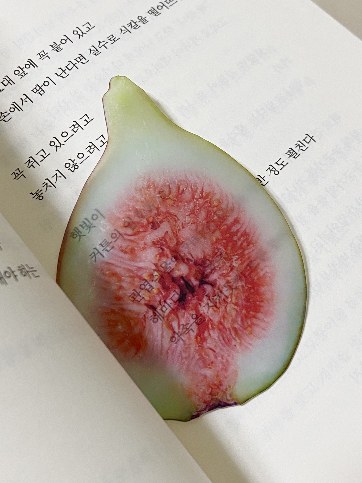 예쁘고 신기한 옥토 작가님 책갈피 모음 | 인스티즈