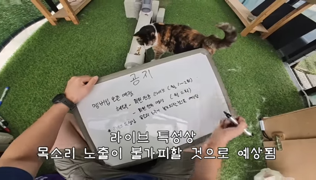 멤버십 오픈 예정이라는 유튜버 haha ha | 인스티즈