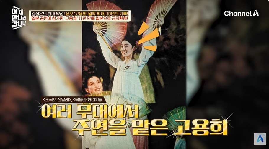 일본에서 수십억 쓸어담았다는 북한 무용수공연 | 인스티즈