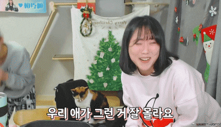 아이돌 이름 잘못 말해서 싹싹 비는 유튜버.jpgif | 인스티즈