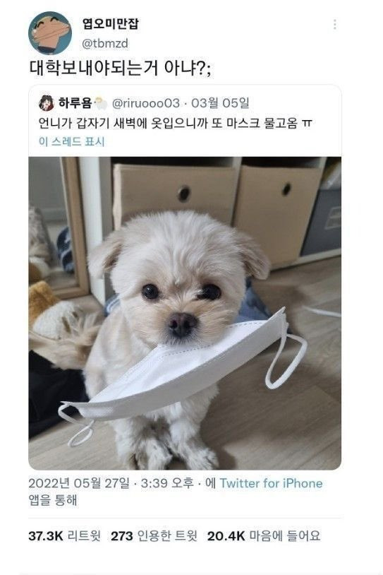 대학 보내야되는거 아냐? | 인스티즈