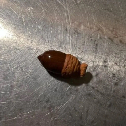 뉴진스 혜인이 일본 가서 사온 민희진 선물ㅋㅋㅋㅋㅋ | 인스티즈