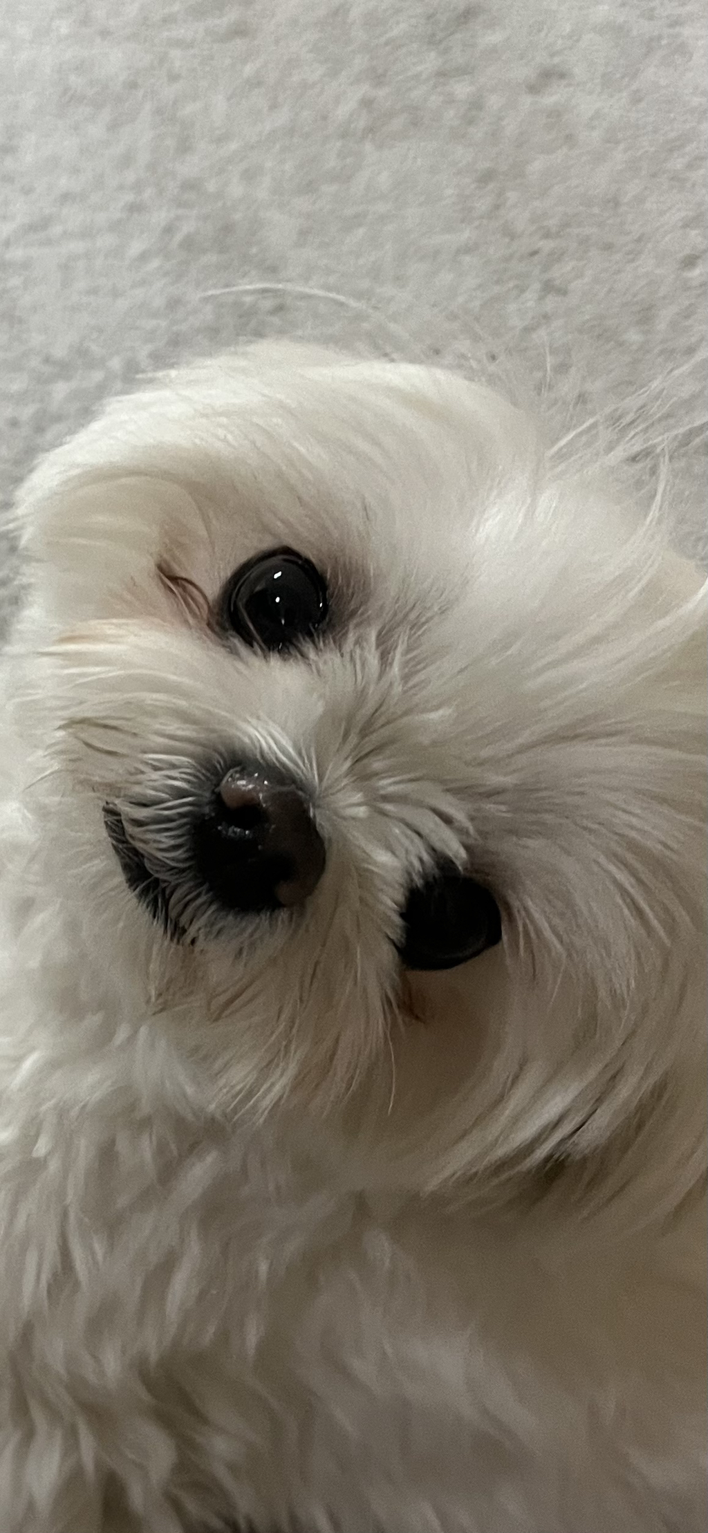 놀자 이미지