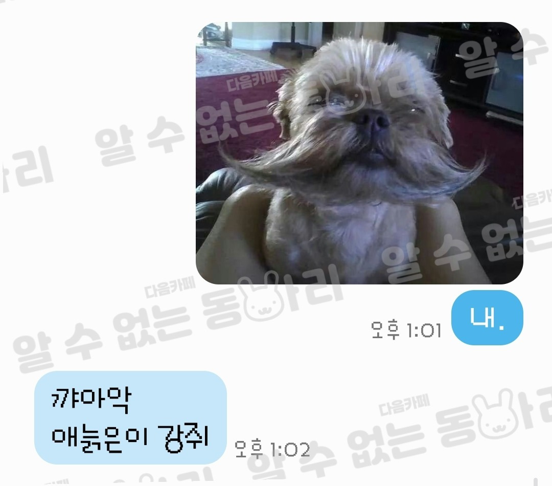 이상한짤 보냈을때 울엄마 답장 모음 | 인스티즈