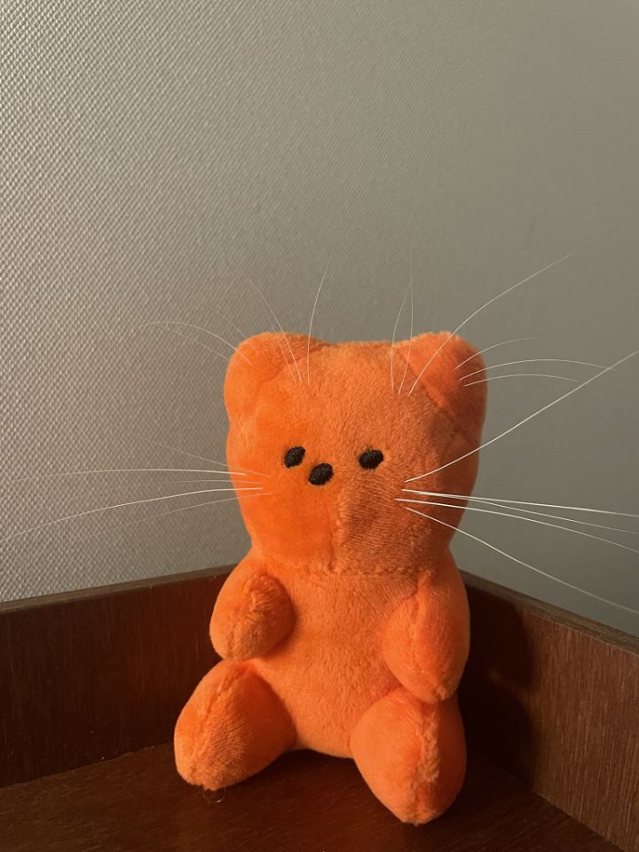 고양이 수염꽂이 인형.twt | 인스티즈