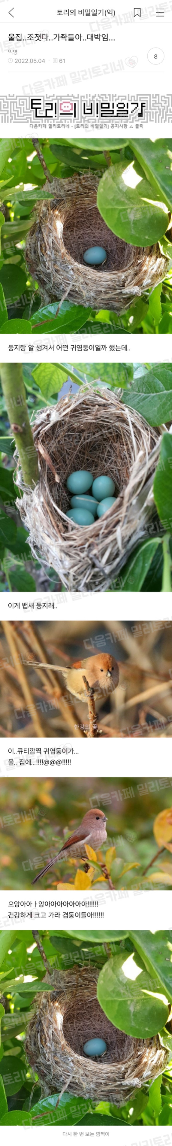 대박 우리집 하숙 들어왓는머?! | 인스티즈