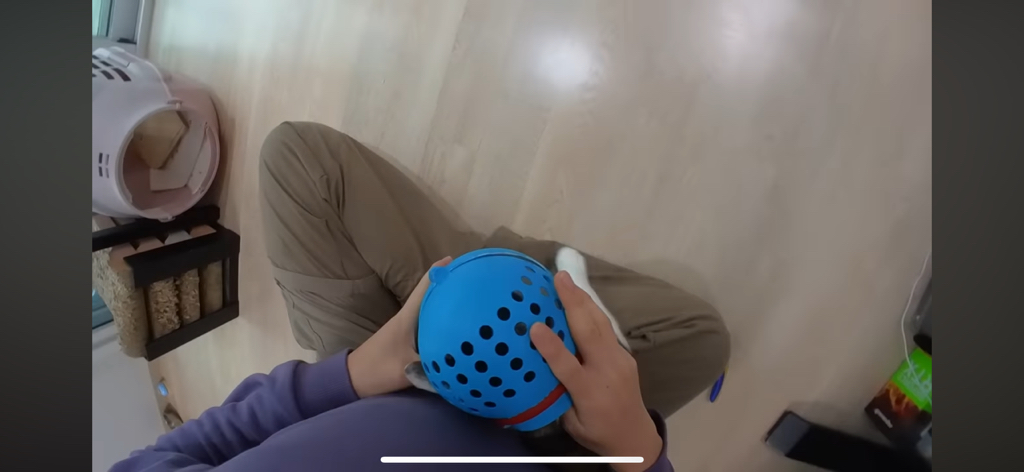 [hahaha] 도라에몽이 된 무(feat.무라에몽) | 인스티즈