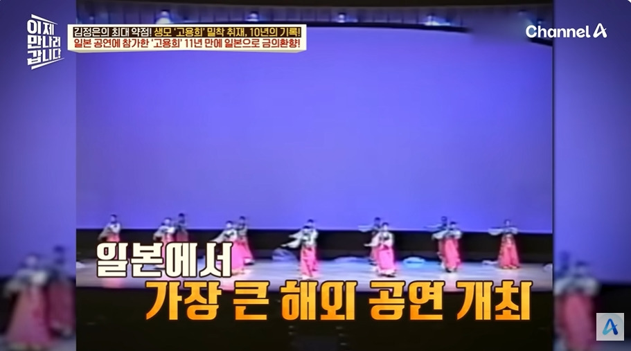 일본에서 수십억 쓸어담았다는 북한 무용수공연 | 인스티즈