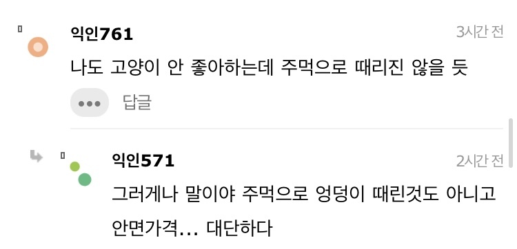 길고양이 한대 때렸는데 내가 잘못한거냐 | 인스티즈