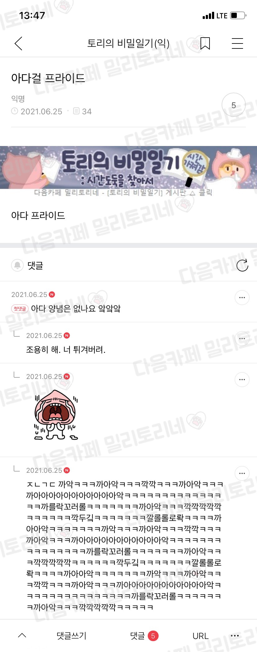 아다걸 프라이드 | 인스티즈