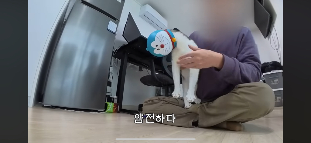 [hahaha] 도라에몽이 된 무(feat.무라에몽) | 인스티즈