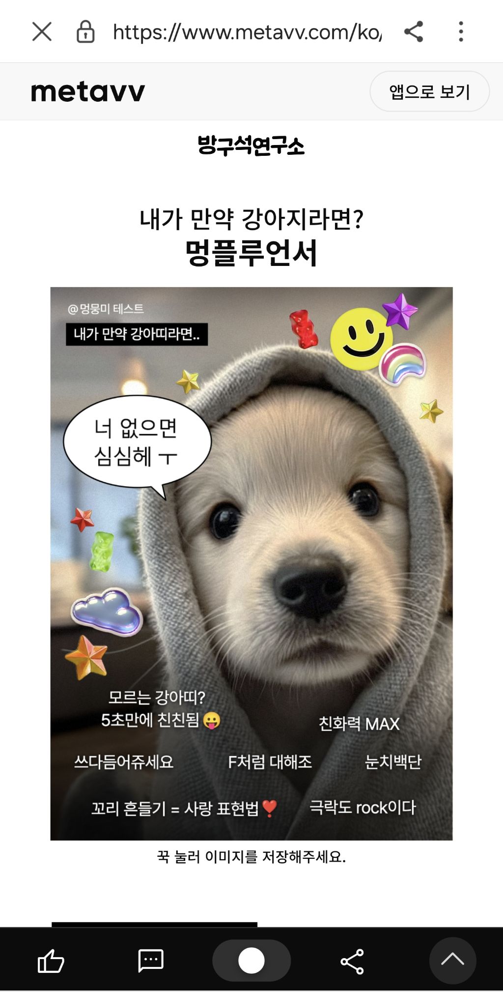 귀여움 과한 멍뭉미 테스트 | 인스티즈