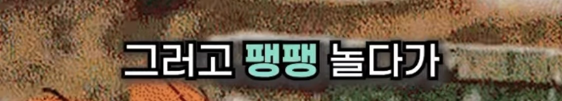 호주 사는 유튜버가 말하는 호주에 의외로 우울증이 많은 이유.jpg | 인스티즈