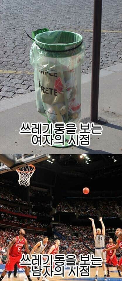 실다 이미지