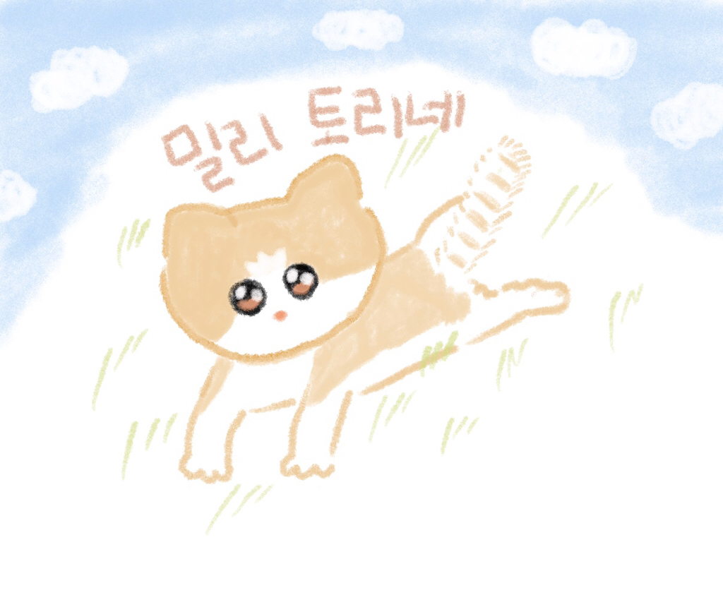 개콘 망한 이유.jpg | 인스티즈