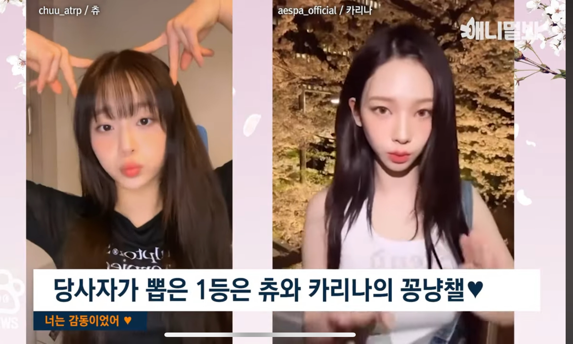 '꽁꽁 얼어붙은 한강위로 고양이가 걸어다닙니다' 챌린지 목소리 주인공 후기 | 인스티즈