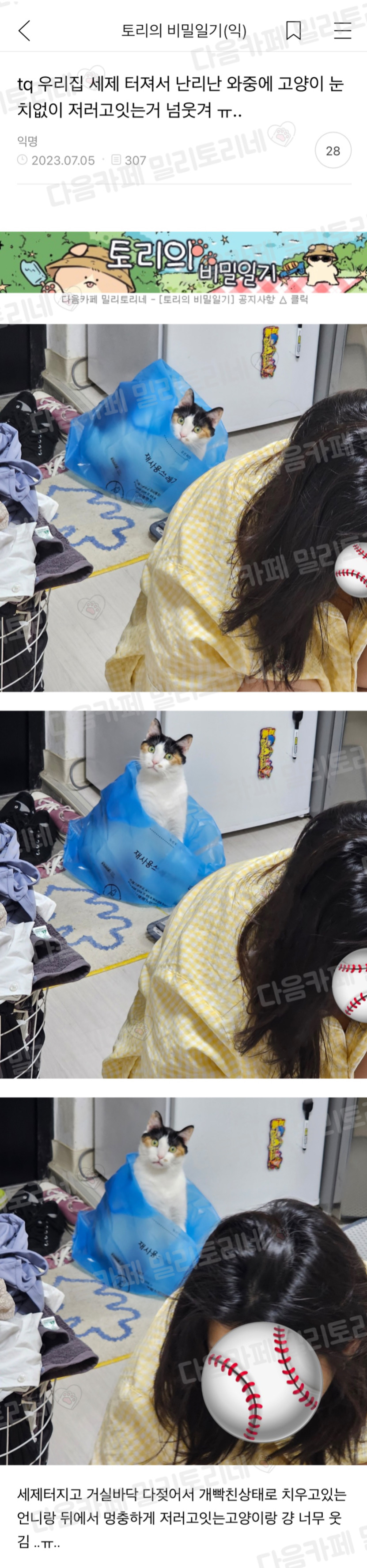 우리집 세제 터져서 난리난 와중에 고양이 눈치없이 저러고잇는거 넘웃겨 ㅠ.. | 인스티즈