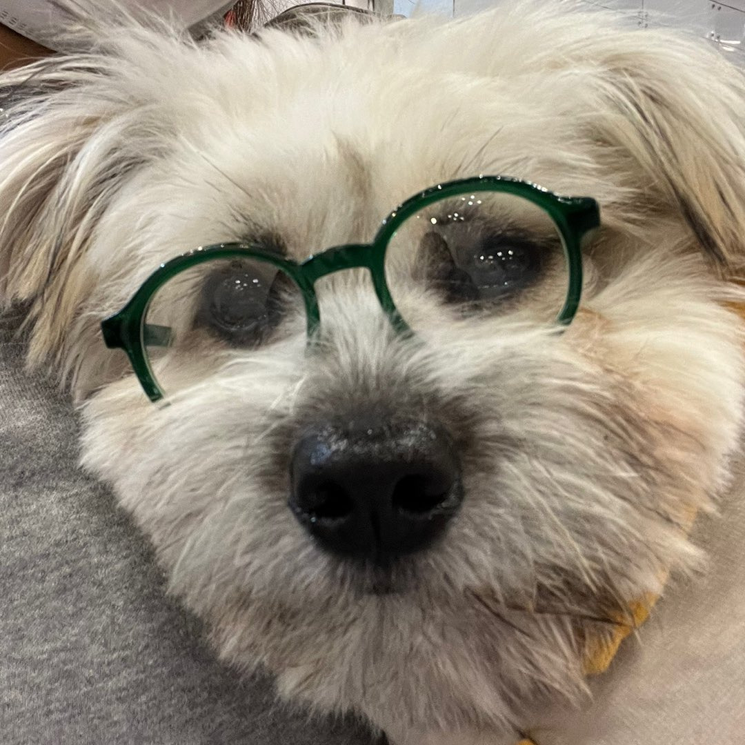 난 우리애처럼 쩝쩝거리는애 본적 없음 | 인스티즈