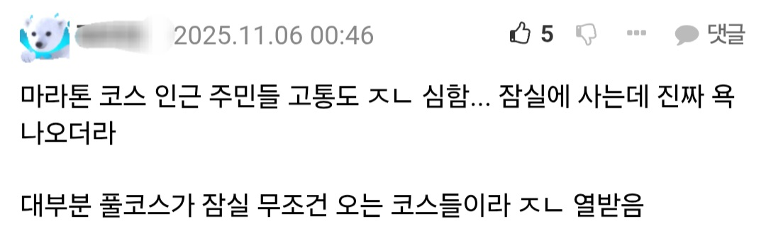 마라톤 사태 직접 겪은 사람들이 쓴 댓글.jpg | 인스티즈