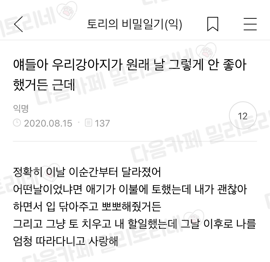 얘들아 우리 강아지가 원래 날 그렇게 안 좋아했거든 근데 | 인스티즈